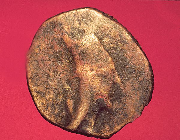 King Artashés II, Copper, Obverse, New York, American Numismatic Society