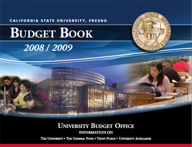 Budget Book 2008-2009 introduction picture