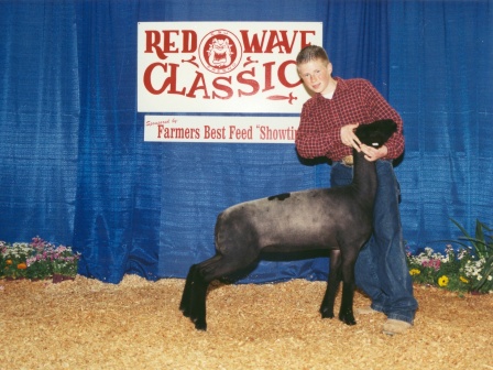 Reserve Grand Champion Futurity Lamb 2003