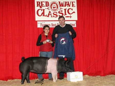 Grand champion hog 2009
