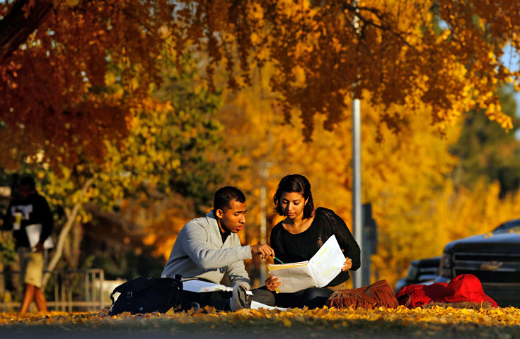 two students studying