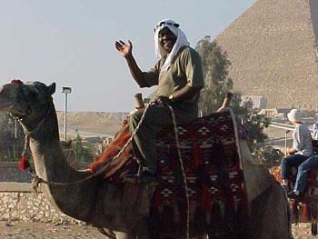 Camel Ride at Giza Plateau