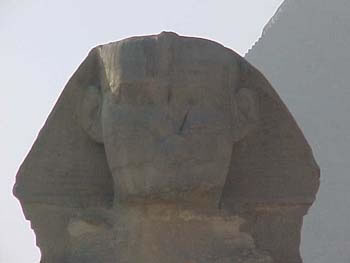 The Head of the Great Sphinx