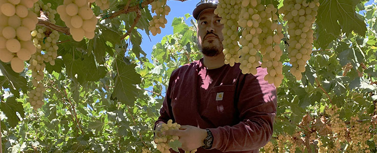 Jose Novoa in vineyard